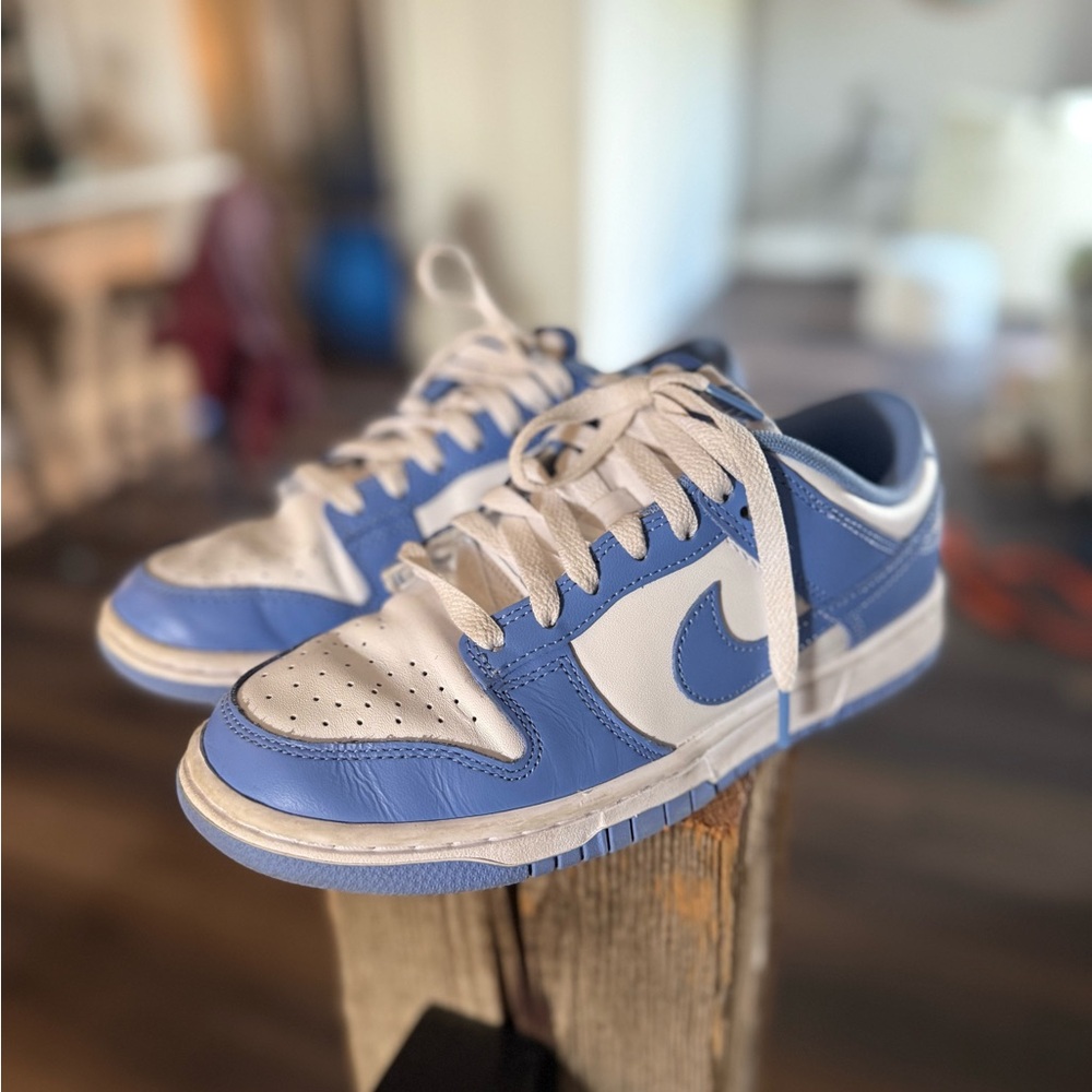 Nike blue and white dunks (polar blue)